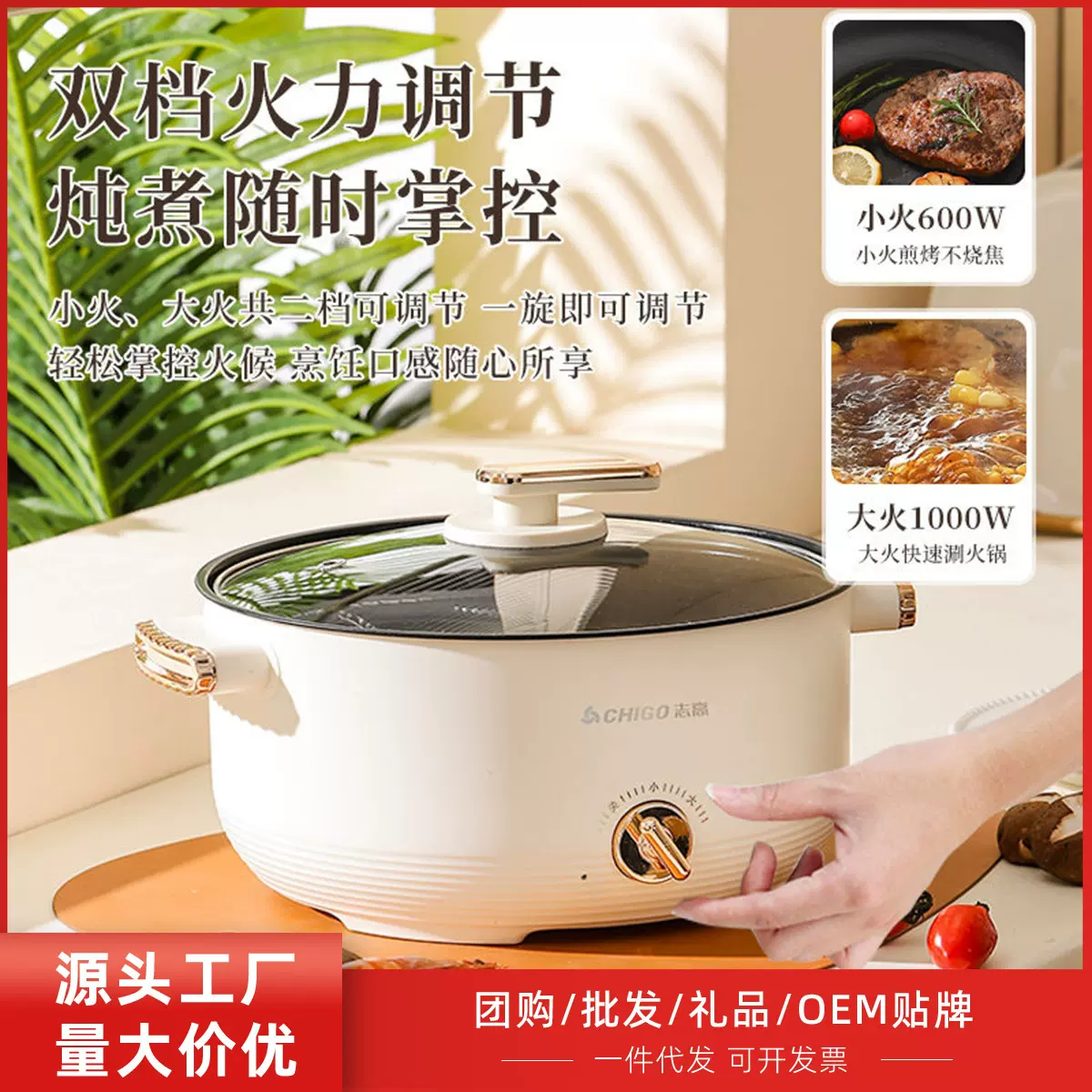 志高多功能电煮锅家用电火锅料理锅一体电炒锅电蒸锅宿舍跨境专供
