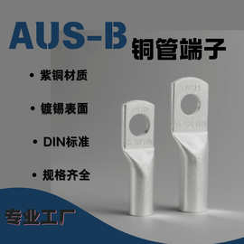 德国DIN46235标准 AUS型B级铜端子铜压接电缆接线头接线端子