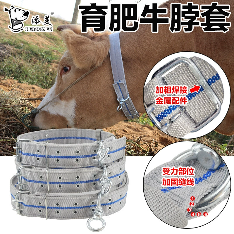 Животноводство для откорма крупного рогатого скота