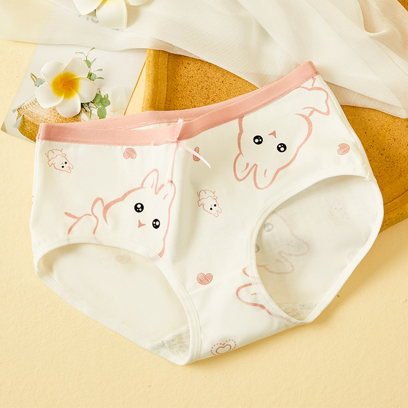 Ropa interior para niñas, algodón puro, estilo japonés, bragas triangulares para adolescentes, sin costuras, shorts escolares bonitos, estilo transpirable.