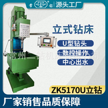 ����ZK5170U���ʽ荴� Դ�^���Sֱ�N ��ڏ���� U����^