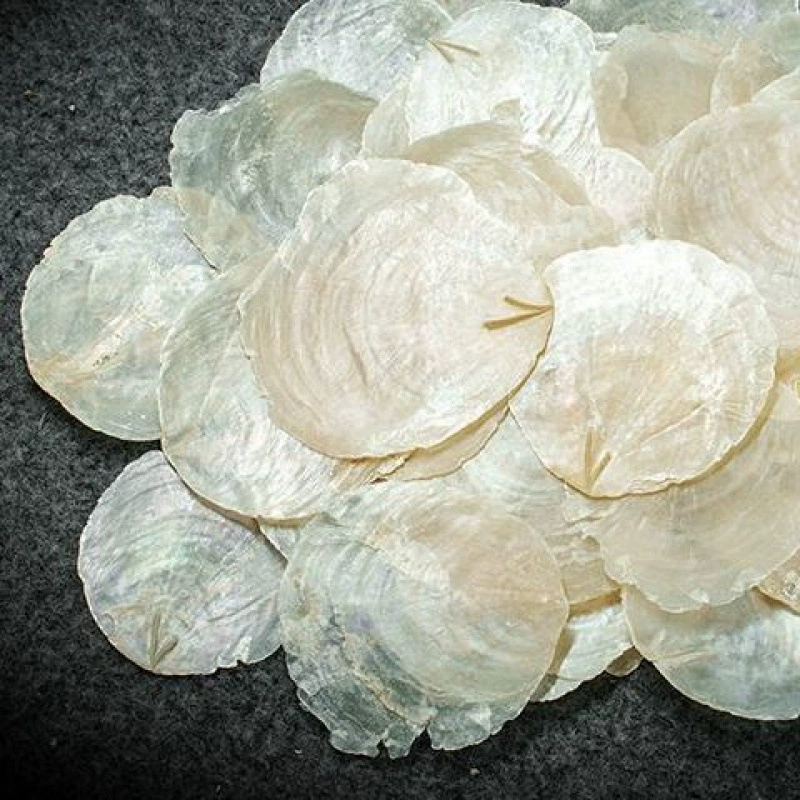 Натуральные аксессуары из ракушек, популярные ветряные колокольчики для свадьбы, DIY украшения для детского сада, популярные ветряные колокольчики