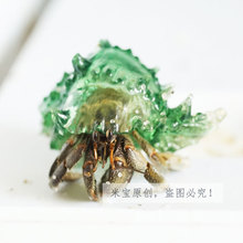 透明水晶壳 宠物寄居蟹替换壳 草莓短腕西伯 3打印海螺 有机玻璃