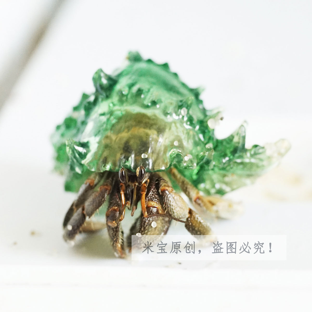 透明水晶壳 宠物寄居蟹替换壳 草莓短腕西伯 3D打印海螺 有机玻璃