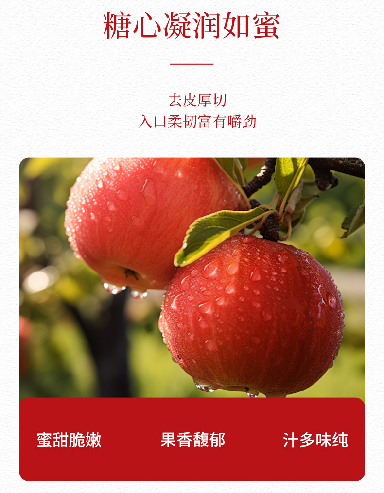 Dried Steamed Apple Crisps with Astragalus Root Slices No Additives Herbal Tea Snack 100g in use