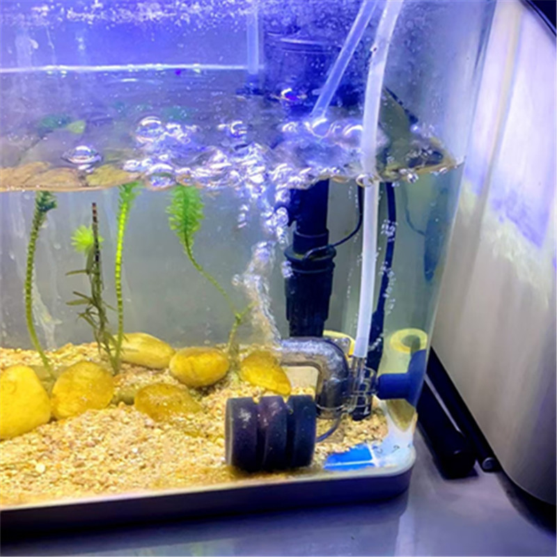 Mini pecera de hadas de agua, oxigenador de oxígeno disuelto neumático, anti-levantamiento y oxígeno, filtro de bacterias, pecera pequeña dedicada