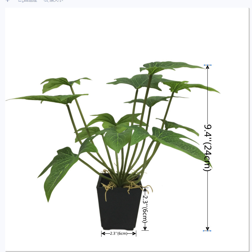 8267 (화분에 심지 않은 것) 고구마잎 12개 (최소주문수량 48개)