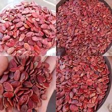 �t����ԭζ������������������ζ���eС���b��ζ���r������