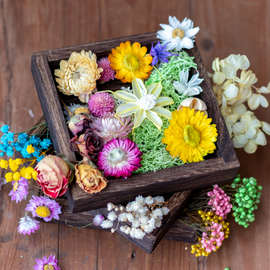 永生干花满天星绣球民宿装饰场景布置拍照滴胶浮游DIY手工材料