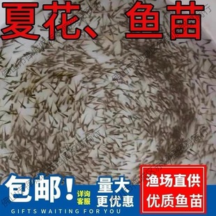 ˮ���~�����l�a�~�~���~���^�����������~���~����~�N���~