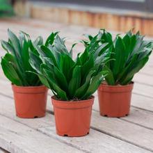 ̫���Gֲ�ļ����໨���҃ȿ͏d�����k���ҿ՚��ȩ����ֲ��