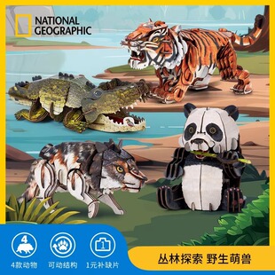 ���������ҵ���ȤζҰ���ȫF��؈�h�����w��ģ�ϻ�3Dƴ�D��ͯ�Y��