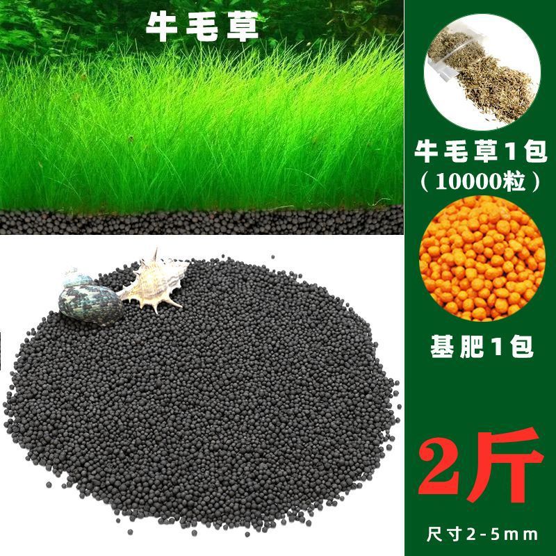 수초머드【1.0kg】강화정수버전-소털풀【10,000캡슐】+무기초비료