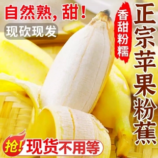 �V���O���������㽶�Ž�����������Ȼ��С�׽����r�Ꭷˮ���۽���