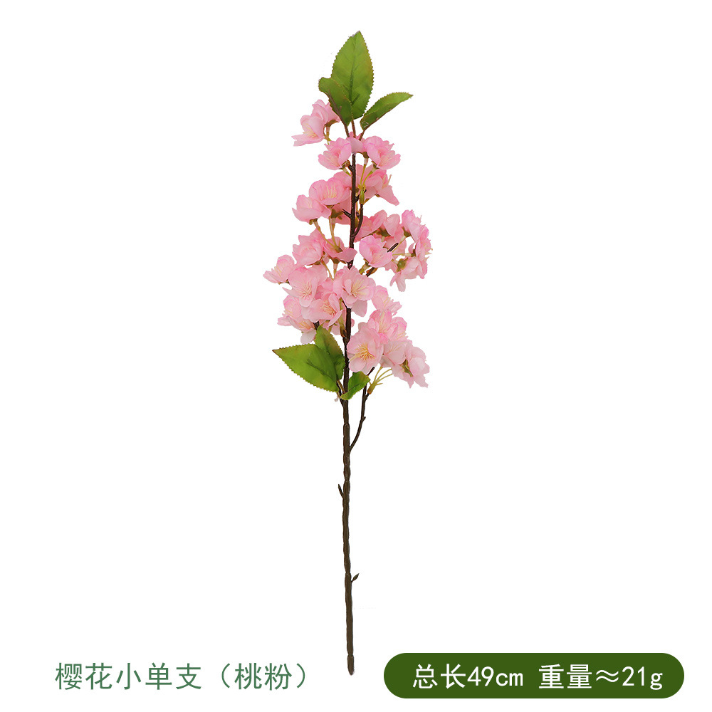 벚꽃 작은 단일 복숭아 분말