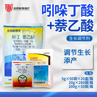 �m�� �۸���2%�Ŷ�&middot;������Ǥ�����Կ����������a���L�{�����rș