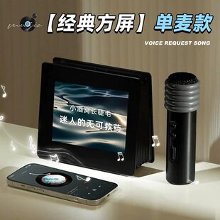 Microphone, wireless travel speakers, bluetooth, Birthday gift