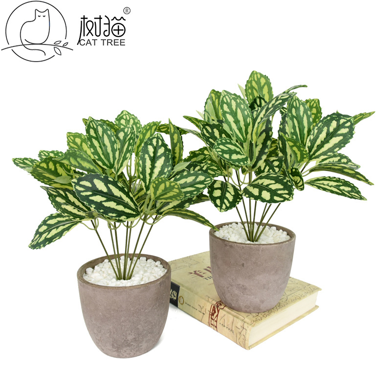 高品质仿真叶子手感冷水花小盆栽植物花卉园林景观工程装饰假树叶