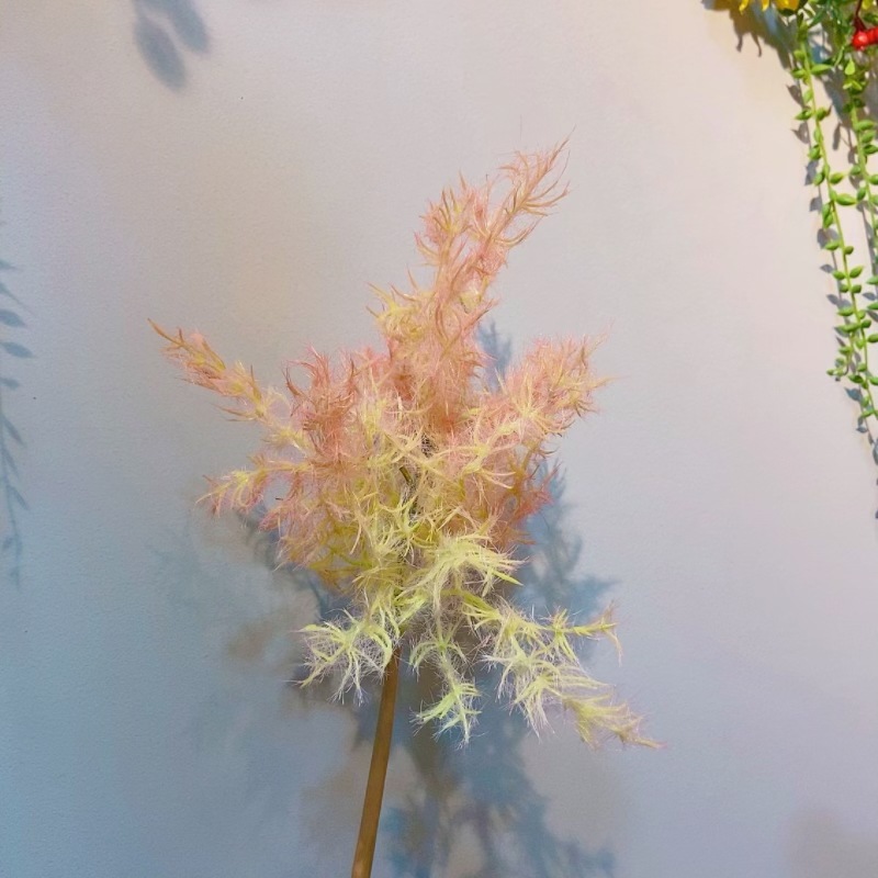 微信图片_20240310121717