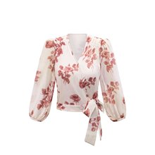 L26221-25�����¿�  ŷ�������նȼ����н���V�����׵�ӡ������