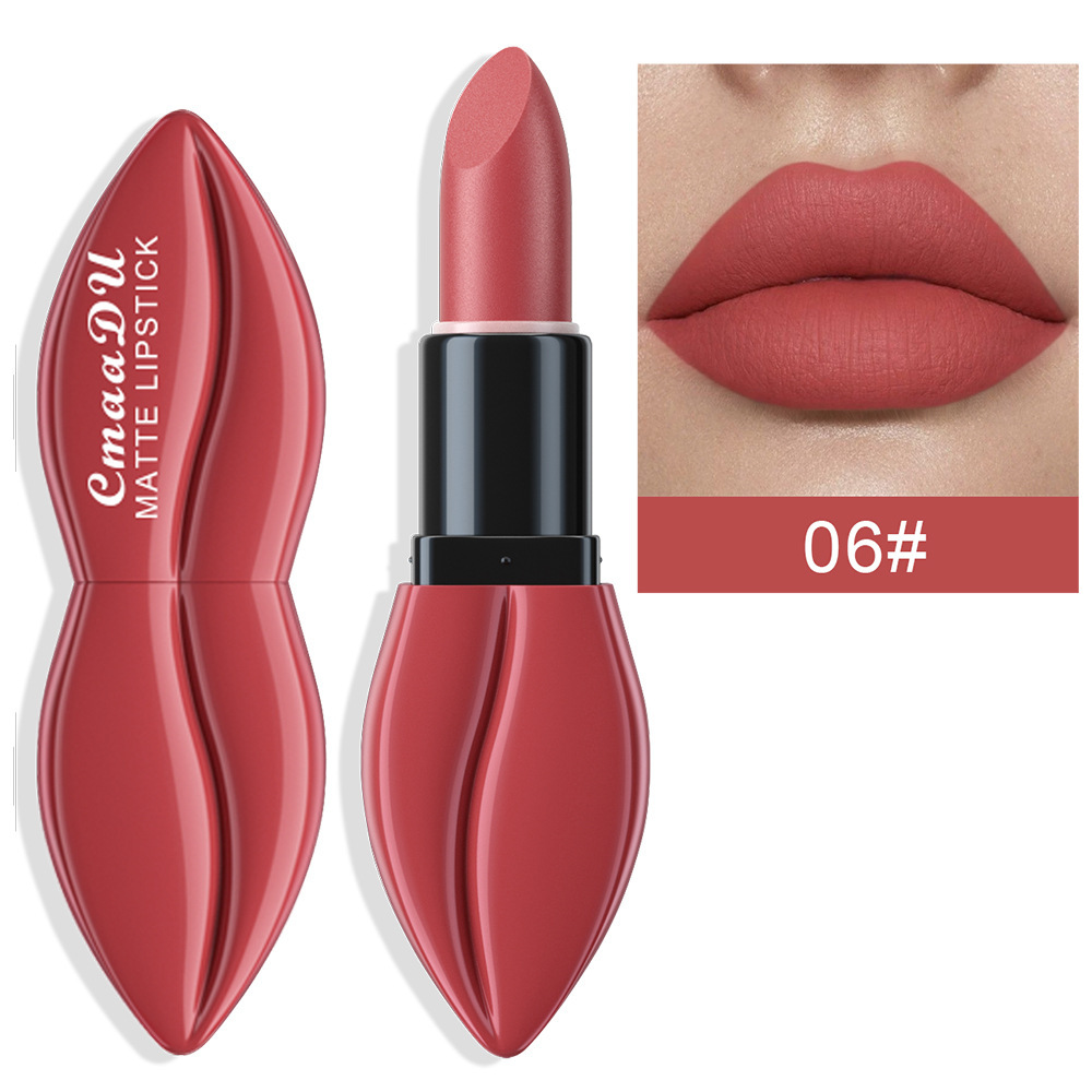 CmaaDu 10 Colors Matte Velvet Finish Long-lasting Moisturizing Lipstick Wholesale Cross-border Model_voghion.com