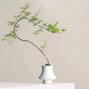 ins�L�����մɻ���F�����s�Gֲ�������������m���ø߼�����