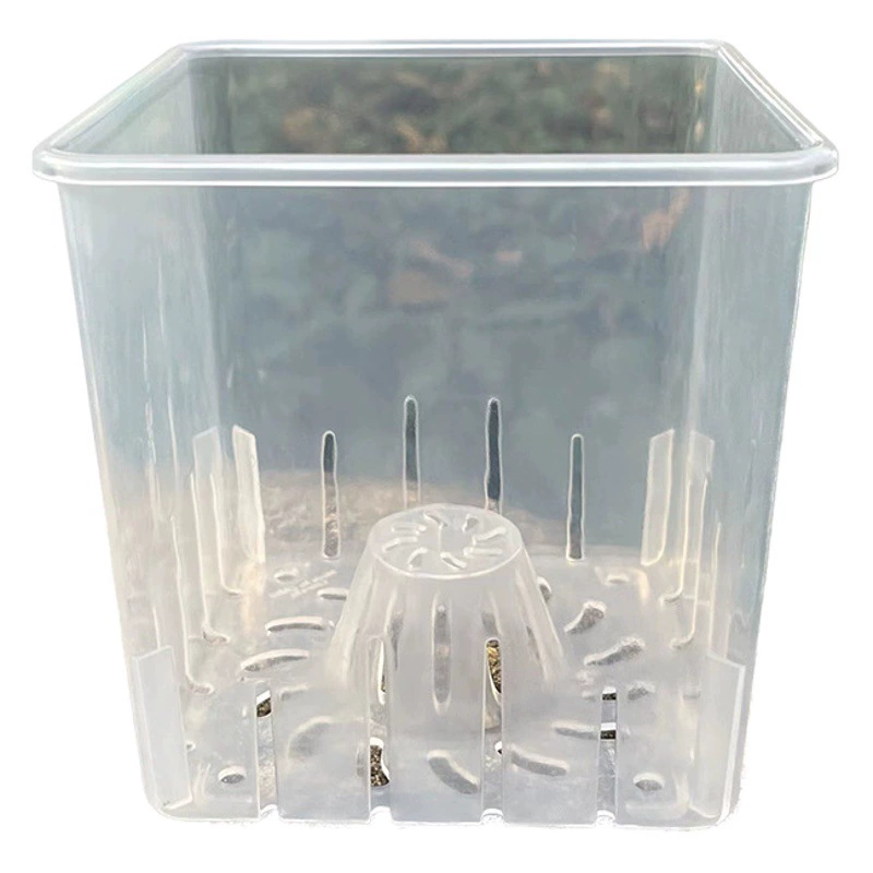 Квадратный Прозрачный цветочный горшок Зеленый Горный корень контроль горшок Таро бабочка Орхидея специальный горшок дышащая чашка для рассады пластиковый маленький цветочный горшок