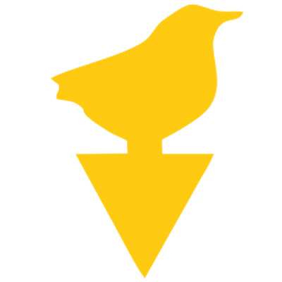 Placa atrapada de insectos transfronterizos doble cara trampa de moscas de forma extraña trampa de insectos placa amarilla patrón de pegamento de insectos trampa