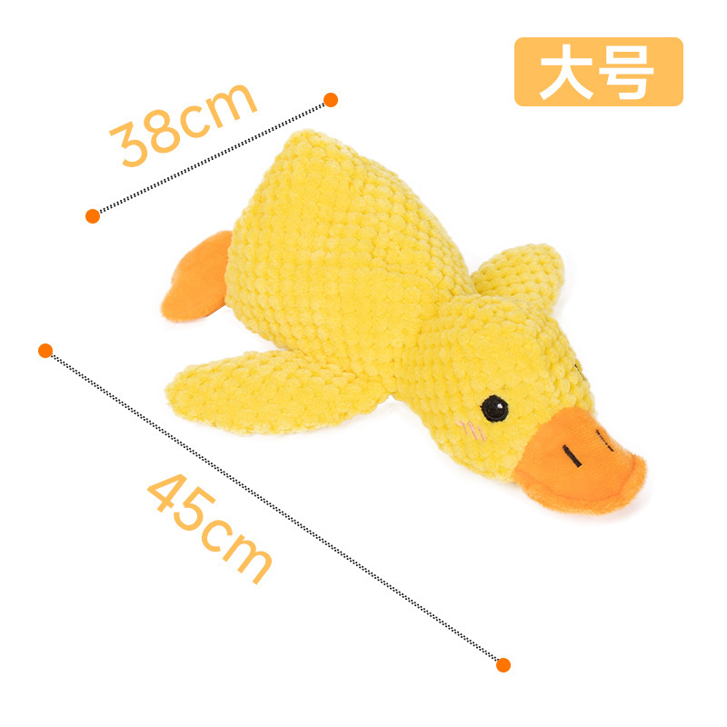 차지덕 대형