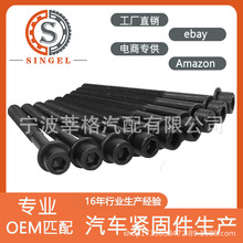 81031300/ES71354��������ɣNISSAN 2.5L ���׸���˿�׼�