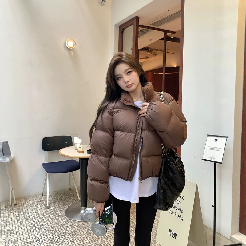 Short down jacket for women, white goose down, brown, Kendall Jenner style, 2026 new model, petite size, super popular winter coat