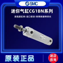 SMCCG1BN/CDG1BN20/25/32/40/50/63-25-50 Z-75-100Z-200