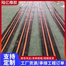 现货供应中埋式遇水膨胀止水带钢边式止水带外贴式651型水利工程