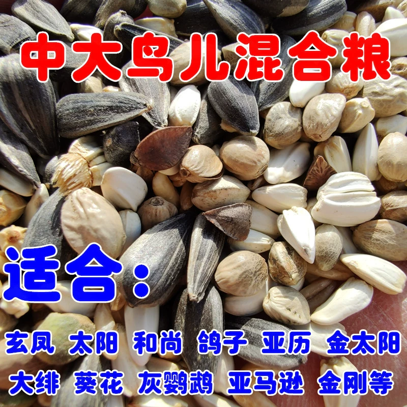 Средний и большой домашний смешанный маленький солнце золотой солнце монах Ариэль фей серый попугай эклектичный корм для подсолнечника корм для птиц