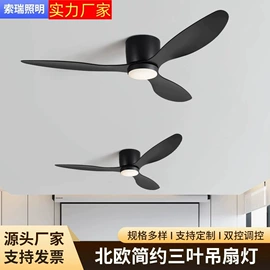 风扇灯;室内壁灯;吊灯