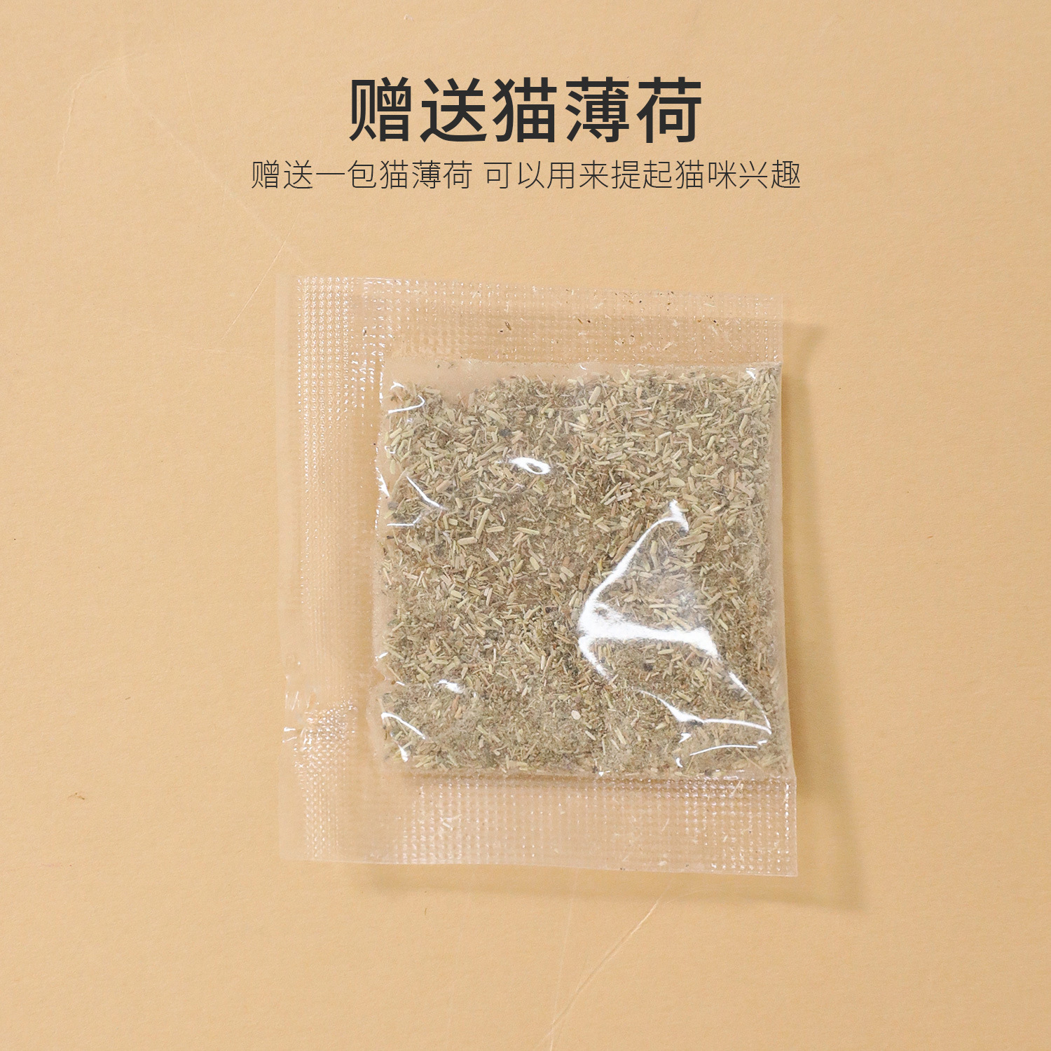 Z Pipitao dibujos animados divertido peluche molar juguetes para gatos