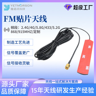 Manufacturer Supplies Gsm/4G Patch Antenna Bluetooth Wifi High Gain Antenna External Fm Car Patch Antenna
