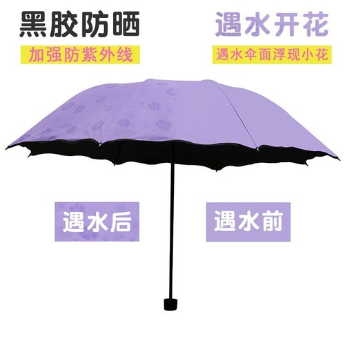荷叶边遇水开花晴雨伞 黑胶超强防紫外线遮阳伞太阳伞 创意三折伞