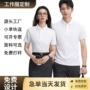 员工商务团体夏季polo衫