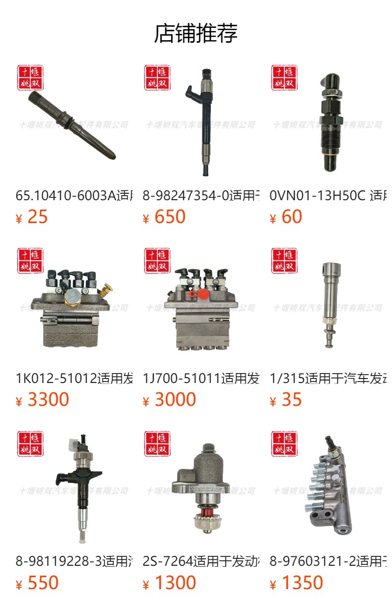 65.10101-7057 suitable for engine parts high pressure fuel common rail injector assembly