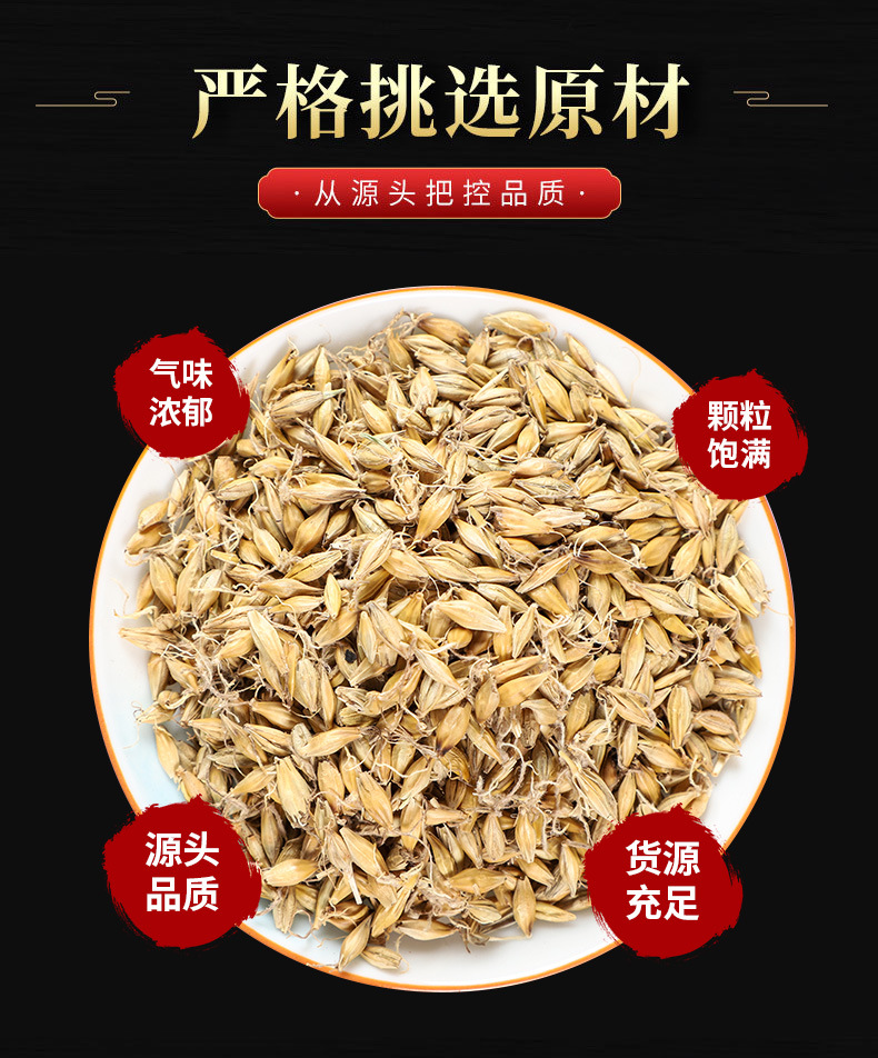 Malt (Hordeum vulgare) — Dried Food-Herb Grain for Tea, Soup & Congee overview