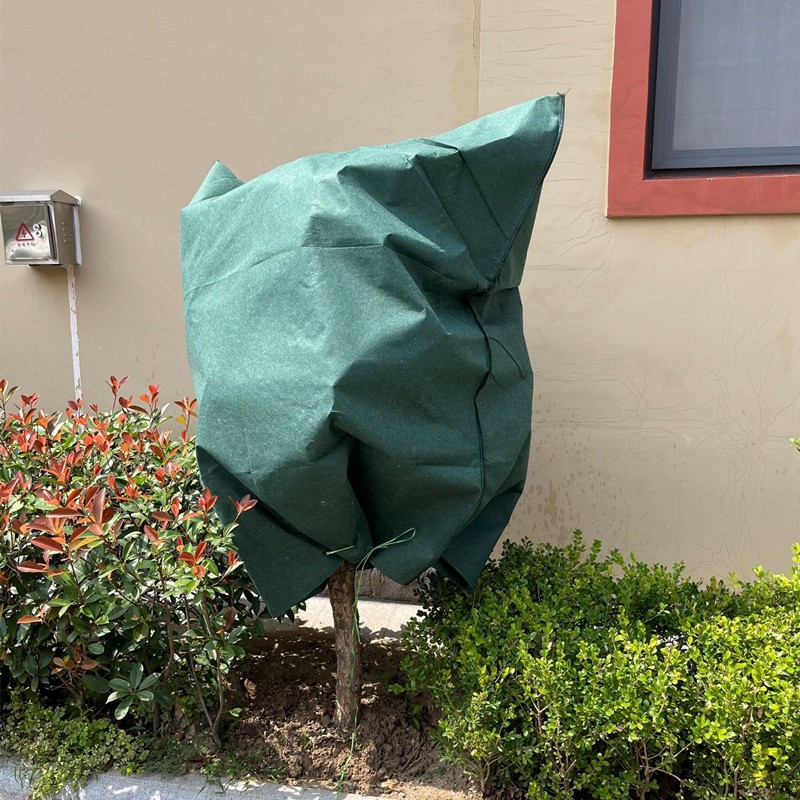 O1CN01nxOZgN2FTYEpgrQLX_!!3088