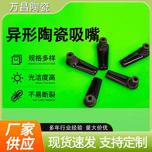 Special-Shaped Ceramic Nozzle, Ceramic Cigarette Holder, Ceramic Filter, Glazed Ceramic Nozzle, High Frequency Porcelain Accessories