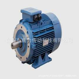 直销土耳其GAMAK马达 GAMAK电机