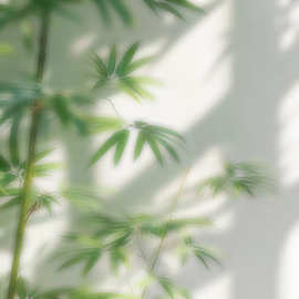 模糊直播间背景墙3d立体女主播背景布场景布置背景布网红拍照