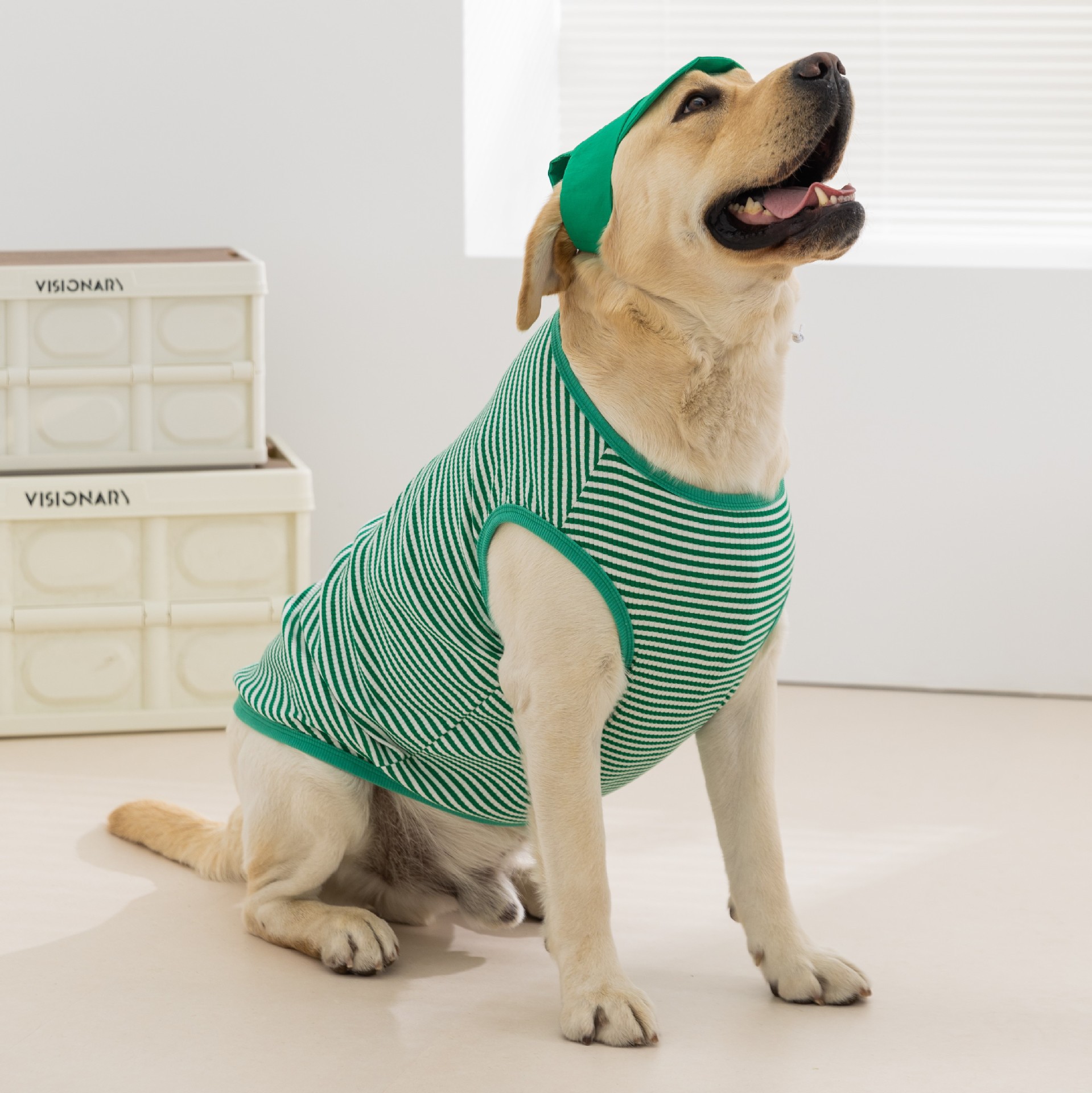 Perro Verano Perro mediano y grande Golden Retriever Chaleco a rayas Estilo delgado y transpirable Ropa para perros grandes Ropa para mascotas con capucha