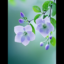 绽放的紫色栀子花DIY数字油画丙烯治愈解压室内客厅装饰油彩画