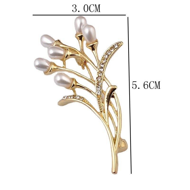 Fashion Grain Imitation Pearl Alloy Inlay Rhinestones Women's Brooches display picture 1