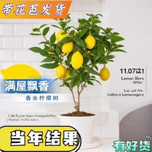 �����l؛��ˮ���ʘ�������癎�������̨�������簫�����ʘ�Gֲ