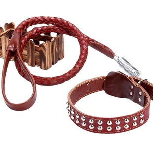 Dog Traction Rope Eight Strand Traction Rope Cowhide Pet Dog Walking Rope Collar Medium and Large Dog Spring Collar Explosion-proof Rash